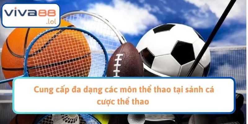 Cung cấp đa dạng các môn thể thao tại sảnh cá cược thể thao